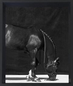 Brainpower II, III et I. Triptyque. De la série « The Horses »