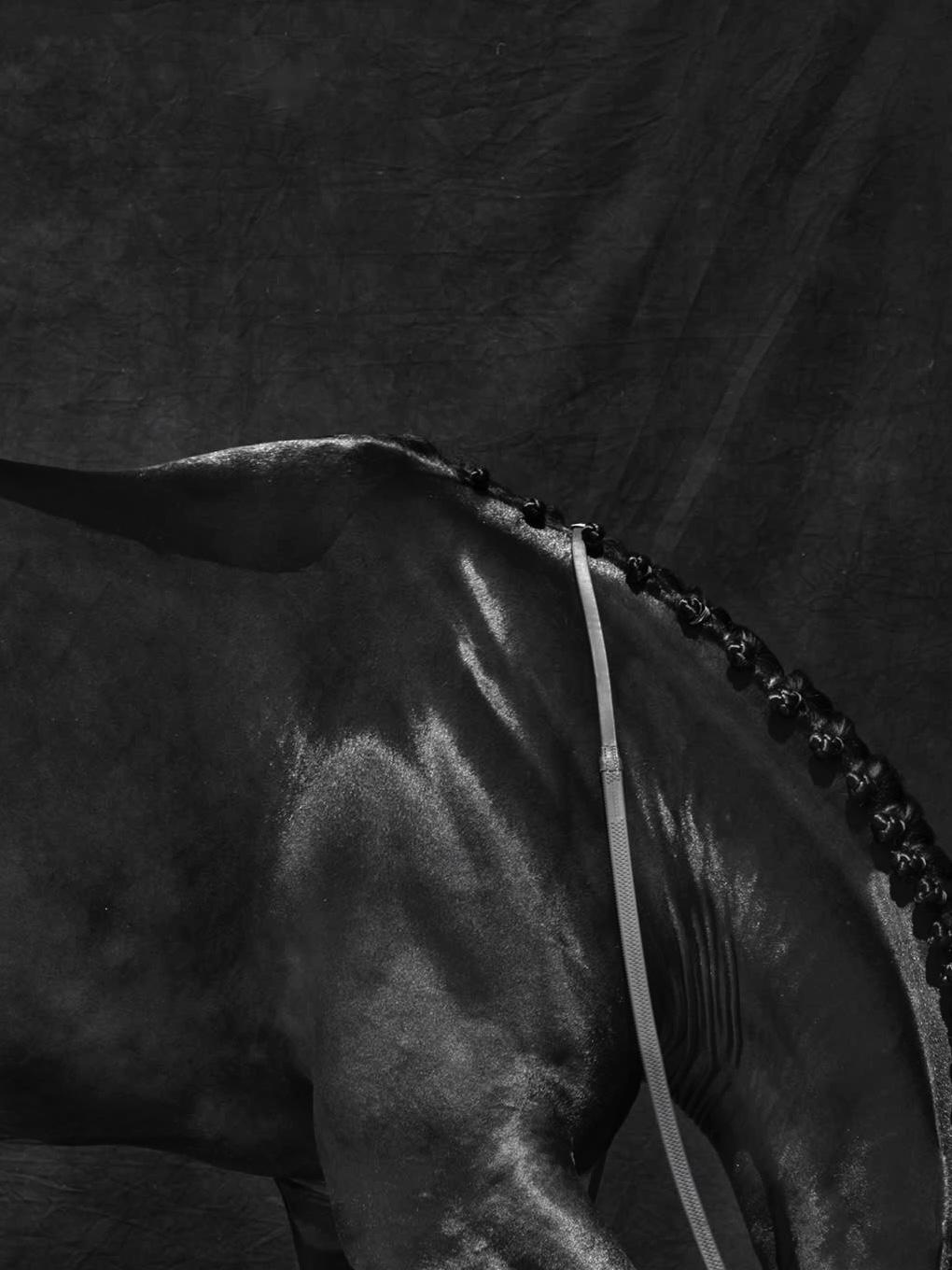 Brainpower Triptychon II – Schwarz-Weiß-Pferd Porträt Limitierte Auflage 2018 (Zeitgenössisch), Photograph, von Juan Lamarca