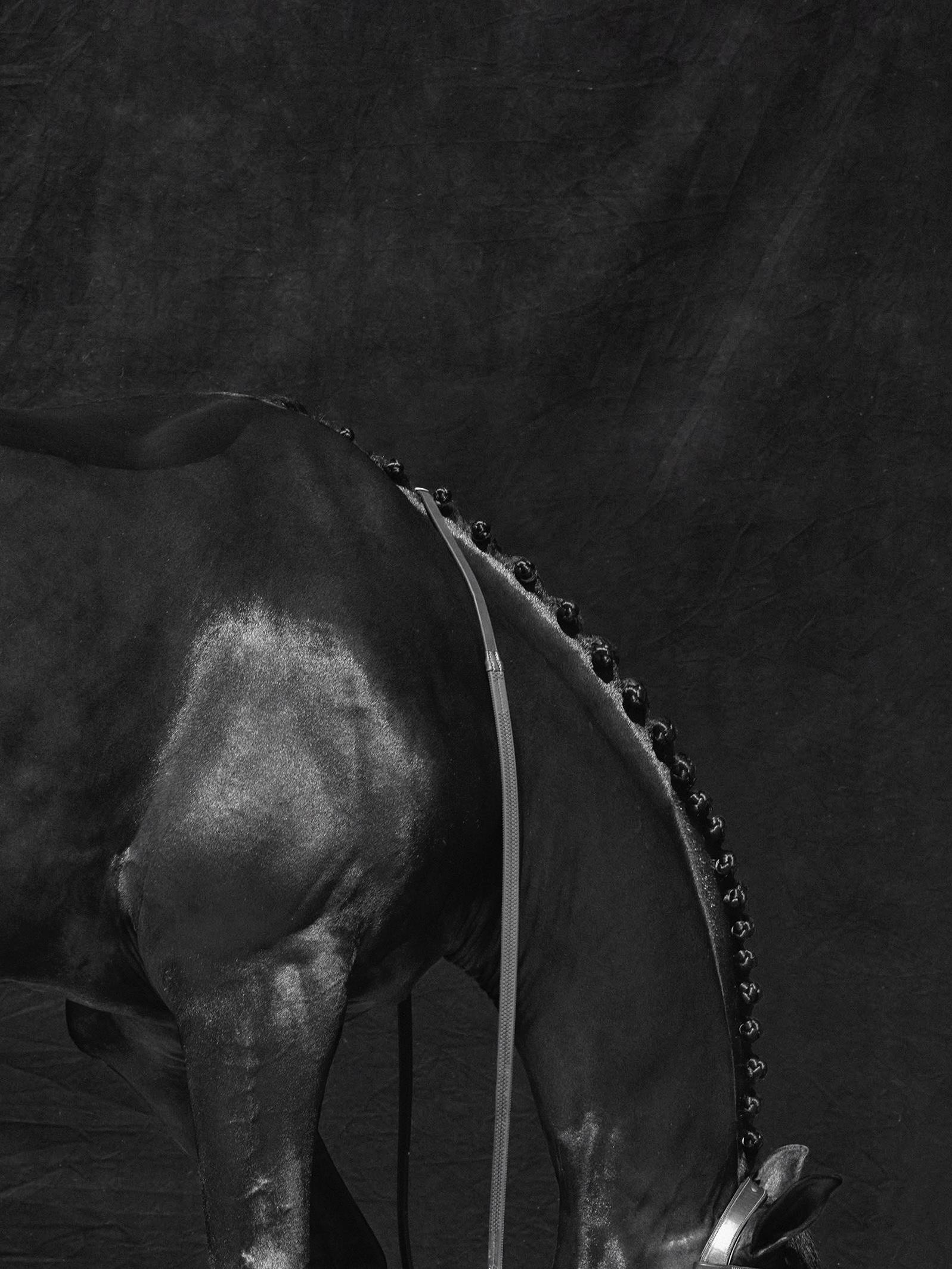 Brainpower Triptychon III, 2018 von Juan Lamarca
Hochwertiges archivfestes Baumwollpapier
Bildgröße: 17 x 13 Zoll
Ausgabe 4 von 7 plus 2 AP
Ungerahmt

Die Horse Series von Juan Lamarca ist eine abstrakte Sammlung von Fotografien, die