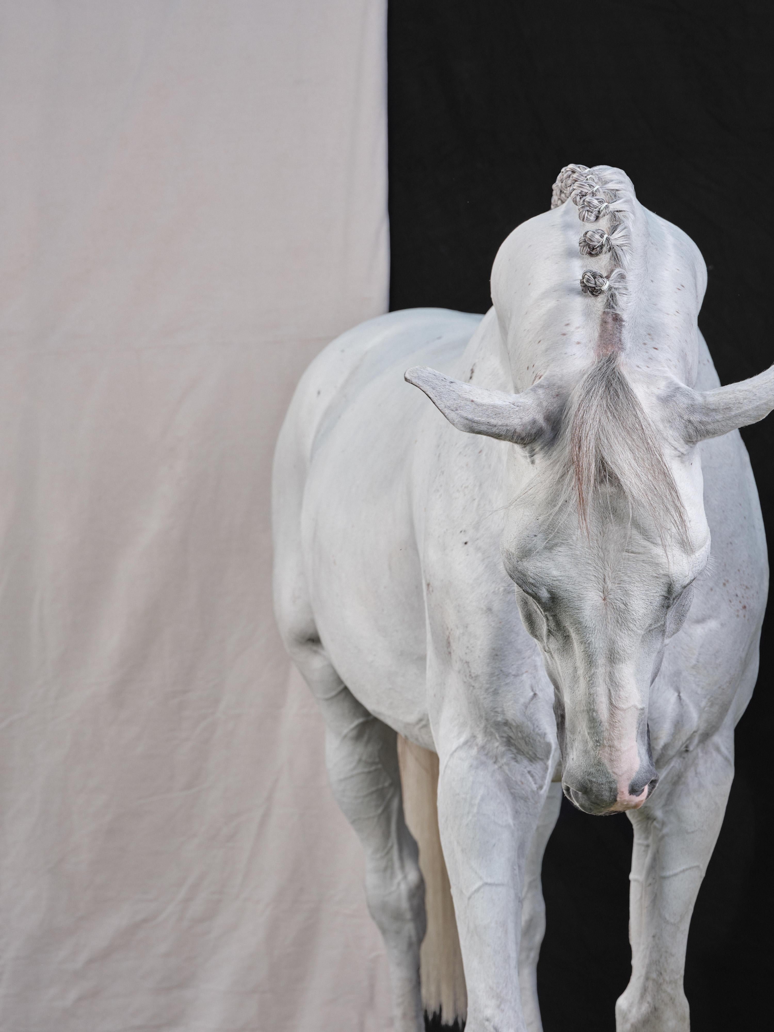 Casper - B&W Limited Edition Horse Portrait 2019 - Photograph by Juan Lamarca