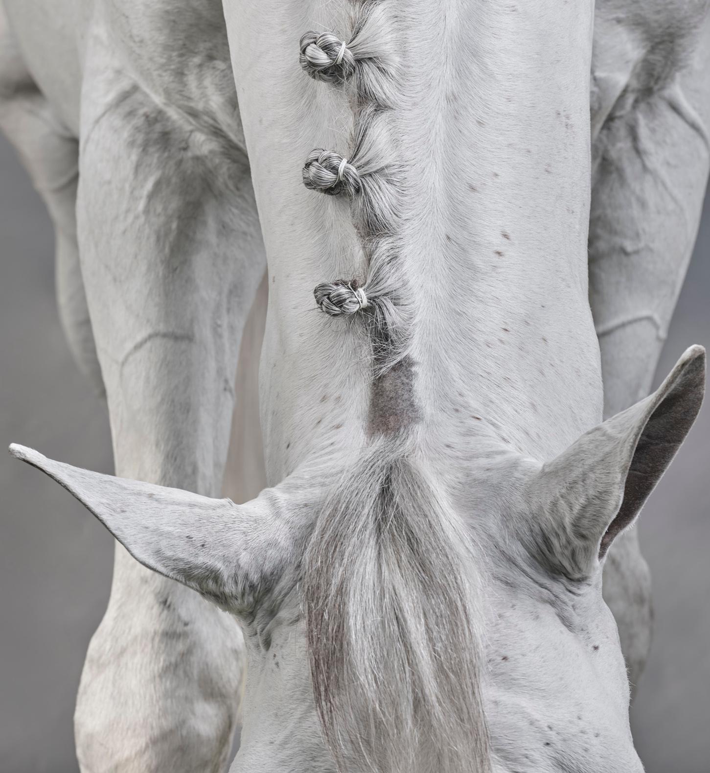 Casper III - B&W Limited Edition Horse Portrait 2019 - Photograph by Juan Lamarca