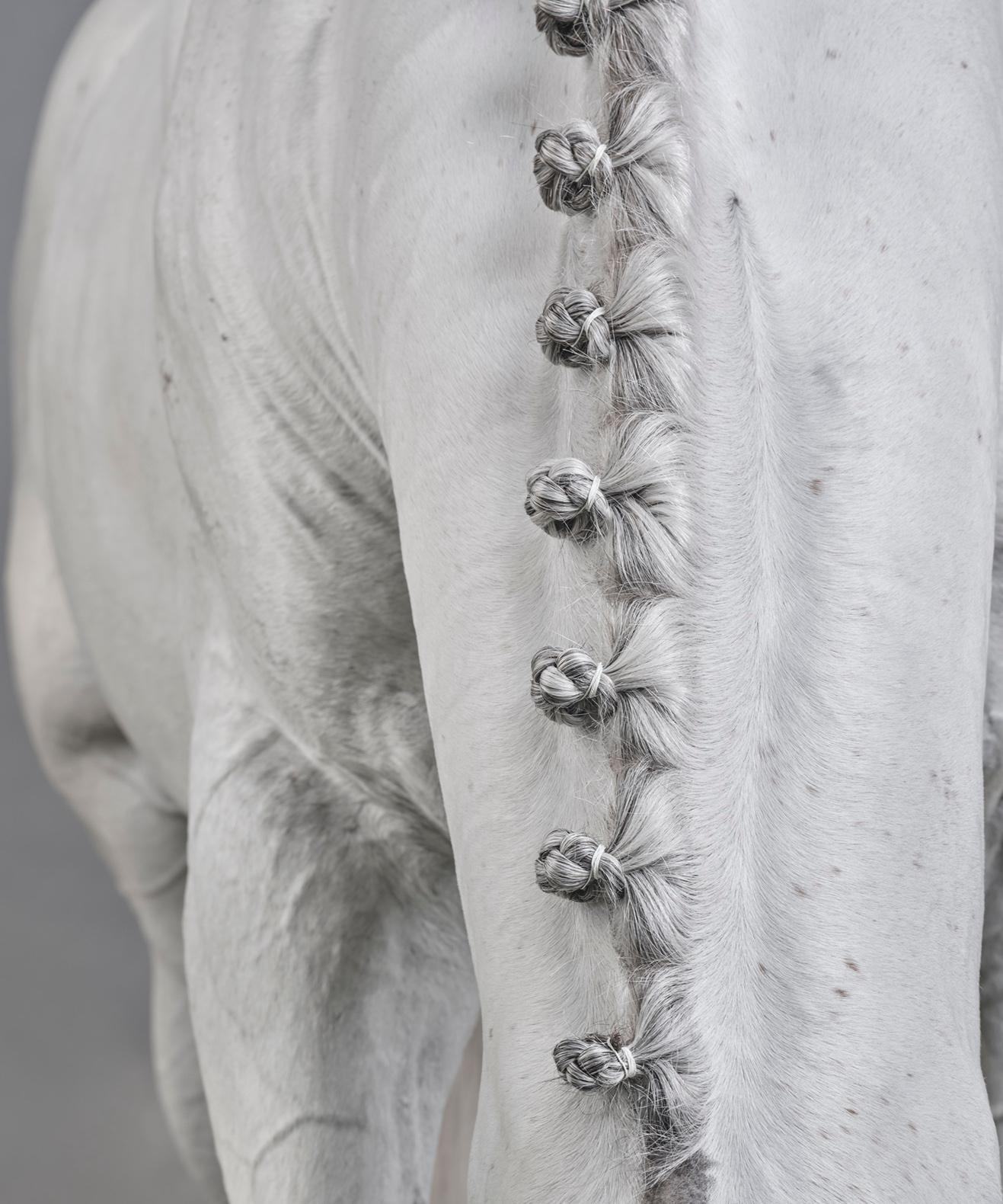 Casper III – B&W Limitierte Auflage von Pferdeporträts 2019 (Zeitgenössisch), Photograph, von Juan Lamarca