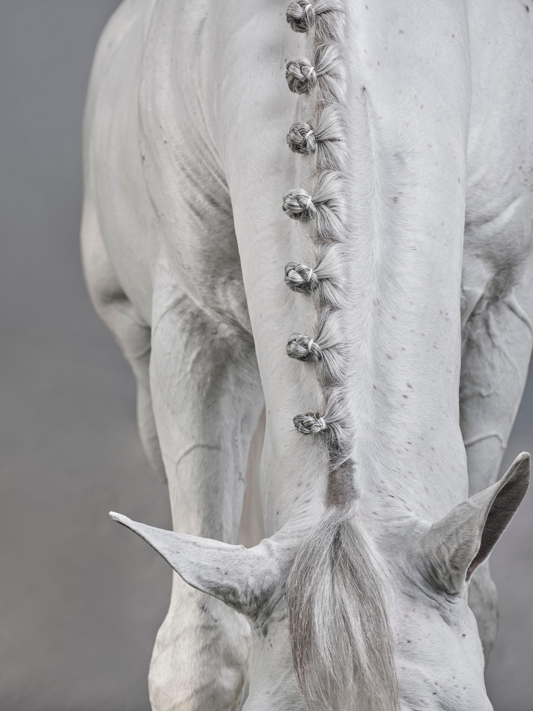 Casper III - B&W Limited Edition Horse Portrait 2019 - Gray Abstract Photograph by Juan Lamarca