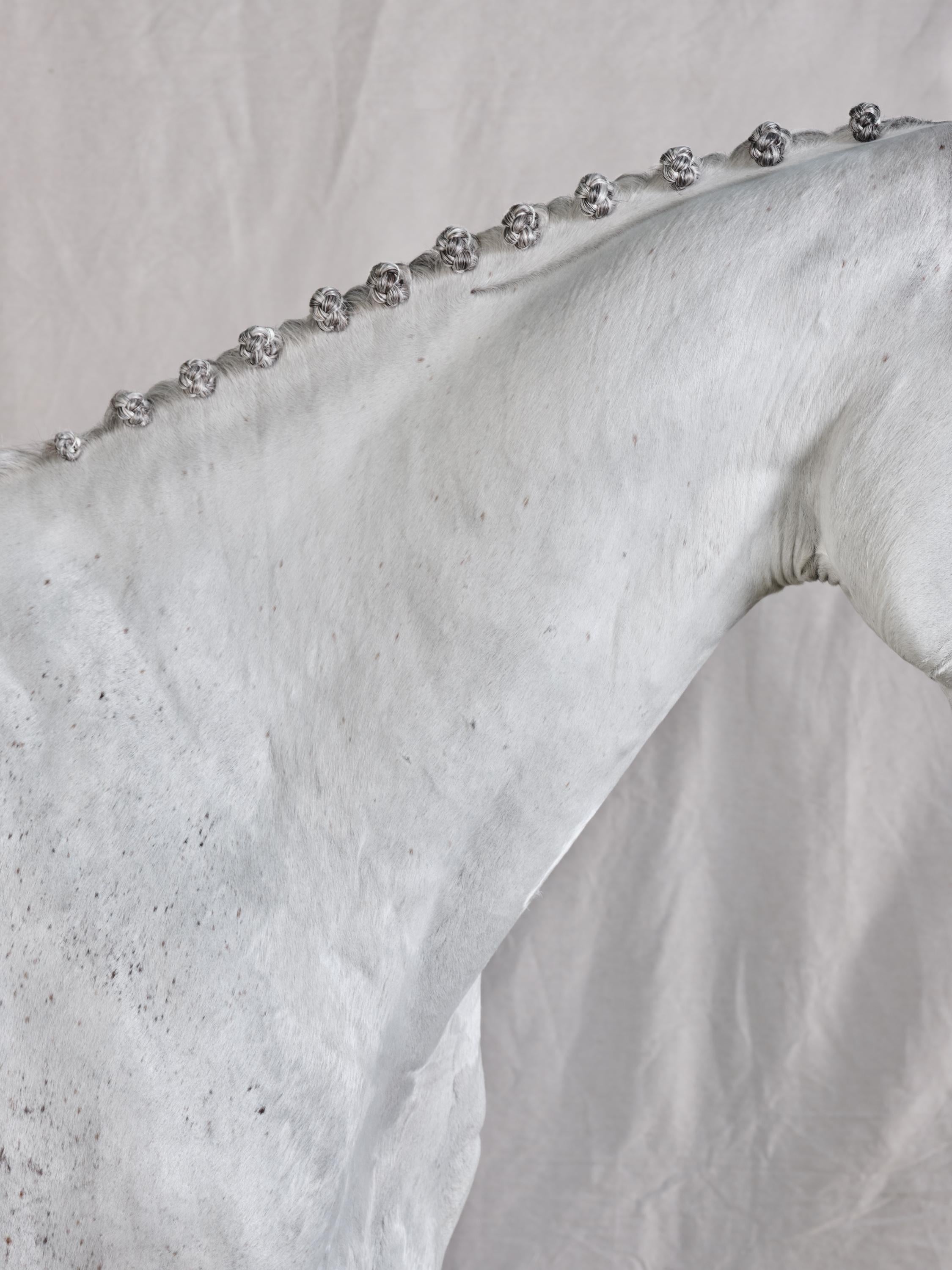 Juan Lamarca Abstract Photograph - Casper on White II - B&W Limited Edition Horse Portrait 2019