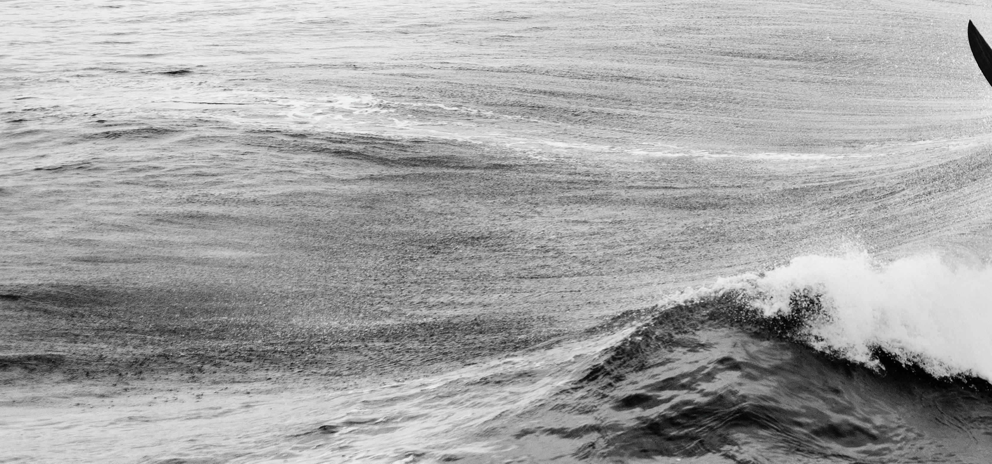 vintage black and white surf prints