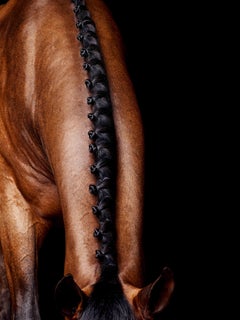 Collier Lamerick - Portrait de cheval en couleur en édition limitée, 2015