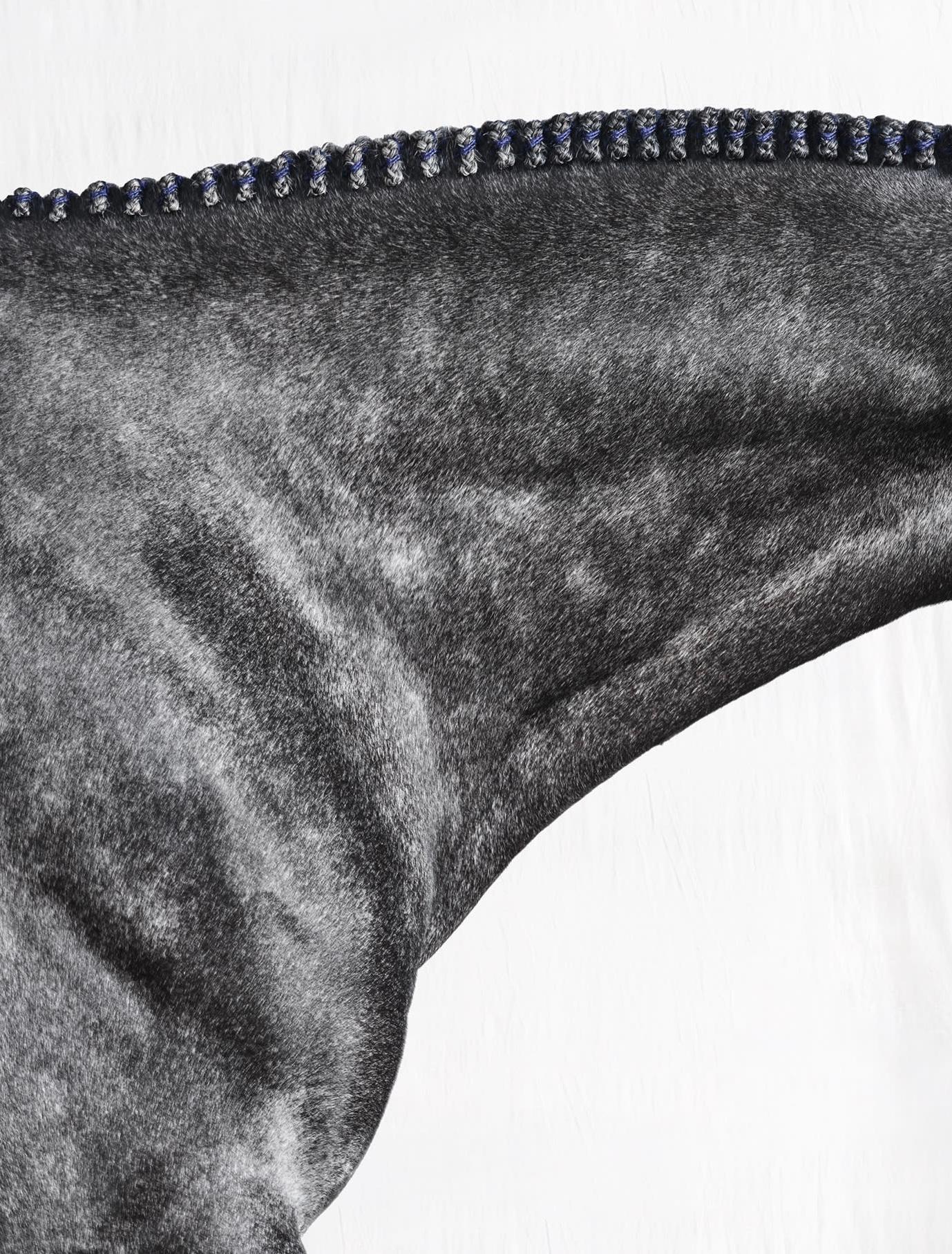 Optimist I - Black and White Limited Edition Horse Portrait 2015 - Photograph by Juan Lamarca