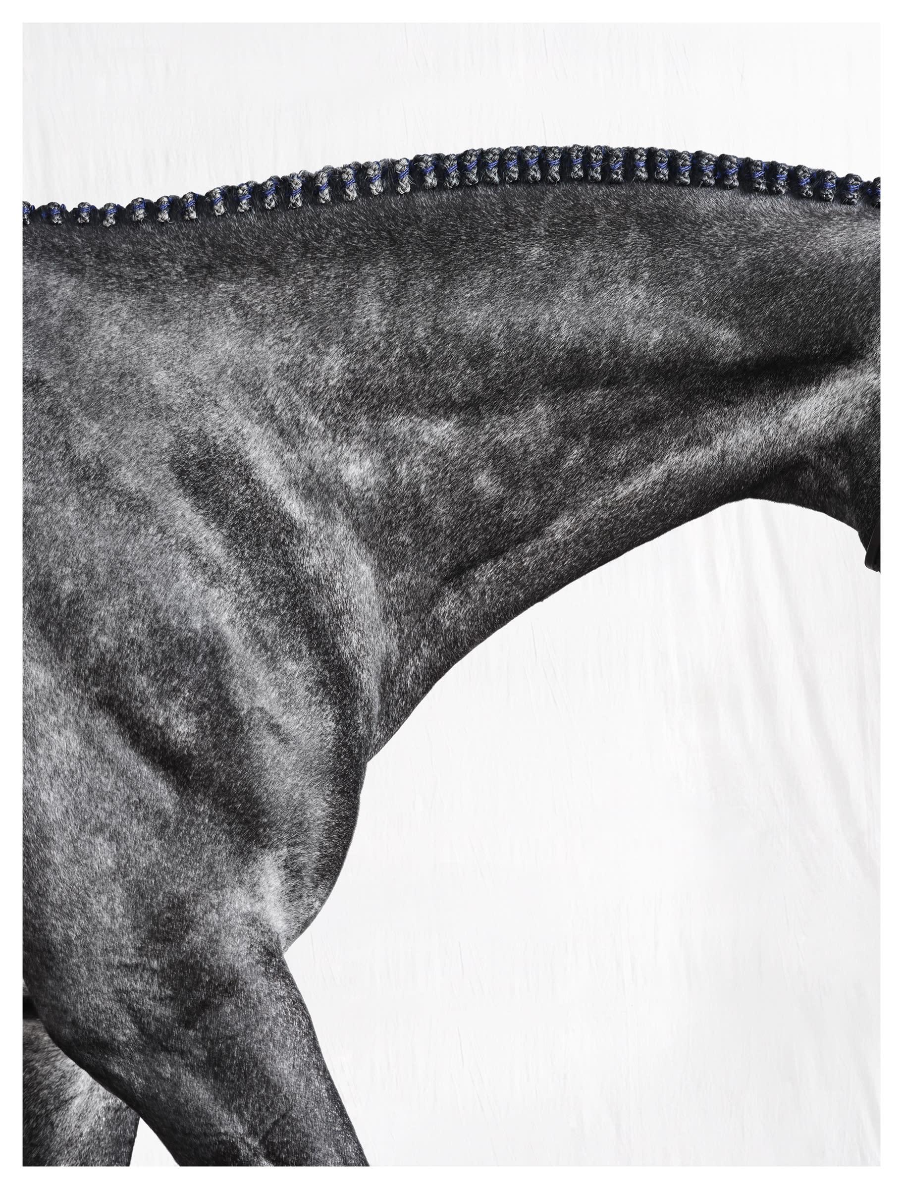 Juan Lamarca Abstract Photograph - Optimist I - Black and White Limited Edition Horse Portrait 2015