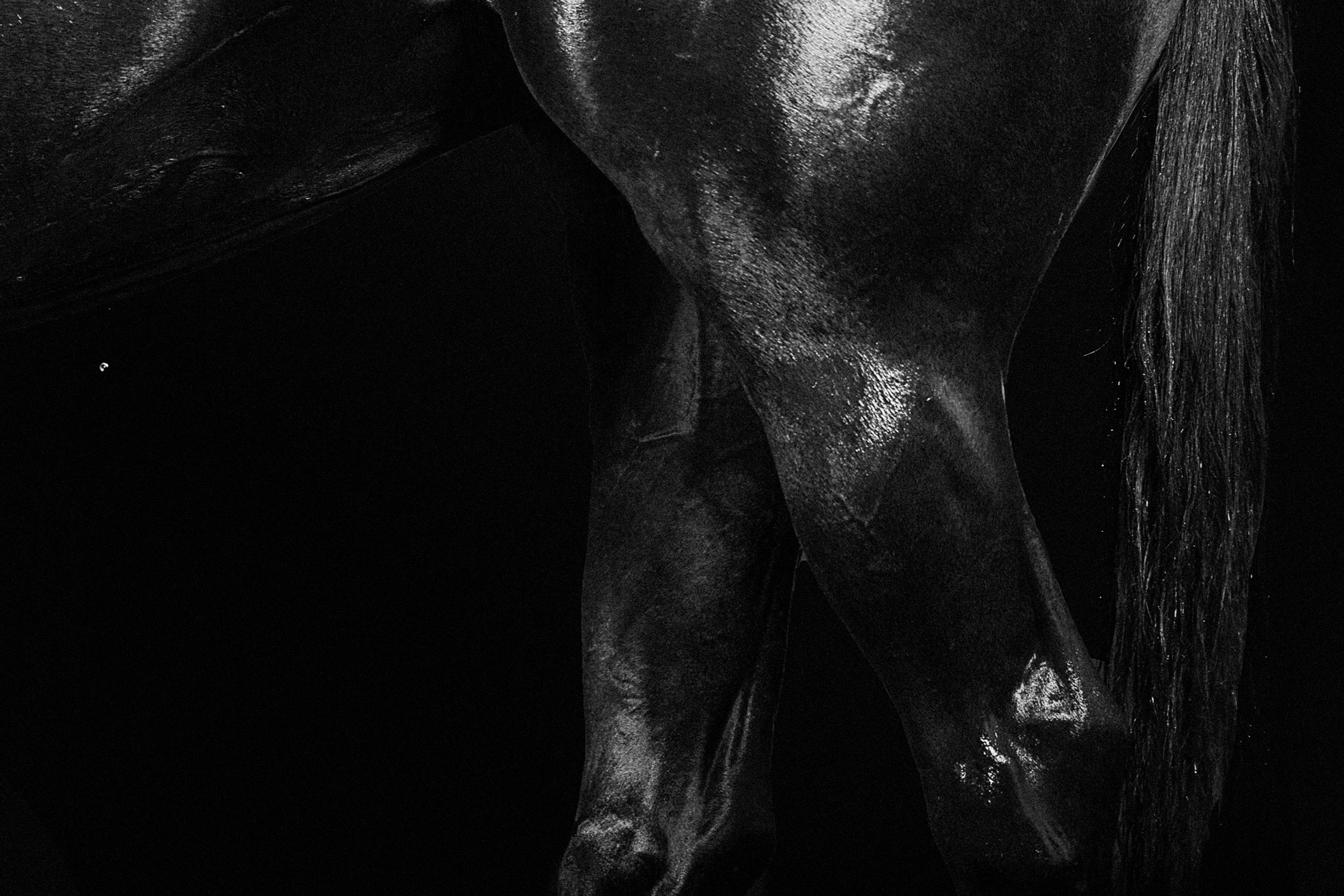 Rusa I, 2015 by Juan Lamarca
Fine art metallic paper
Image size: 30 x 40 inches
Edition 2 of 10 plus 2 AP
Unframed

Juan Lamarca's Horse Series, is an abstract collection of photographs featuring high performance horses. The images seek to capture