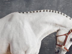 Titan Neck II - Full Color Limited Edition Horse Portrait 2015