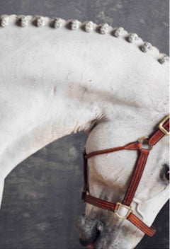 Titan Neck II, Horse Series, Small Archival Pigment Print