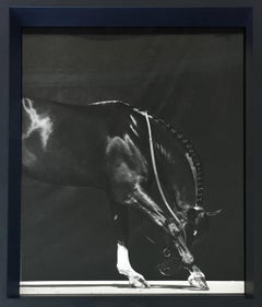 Untitled II, Horse Series, Extra Small Archival Pigment Print, Framed