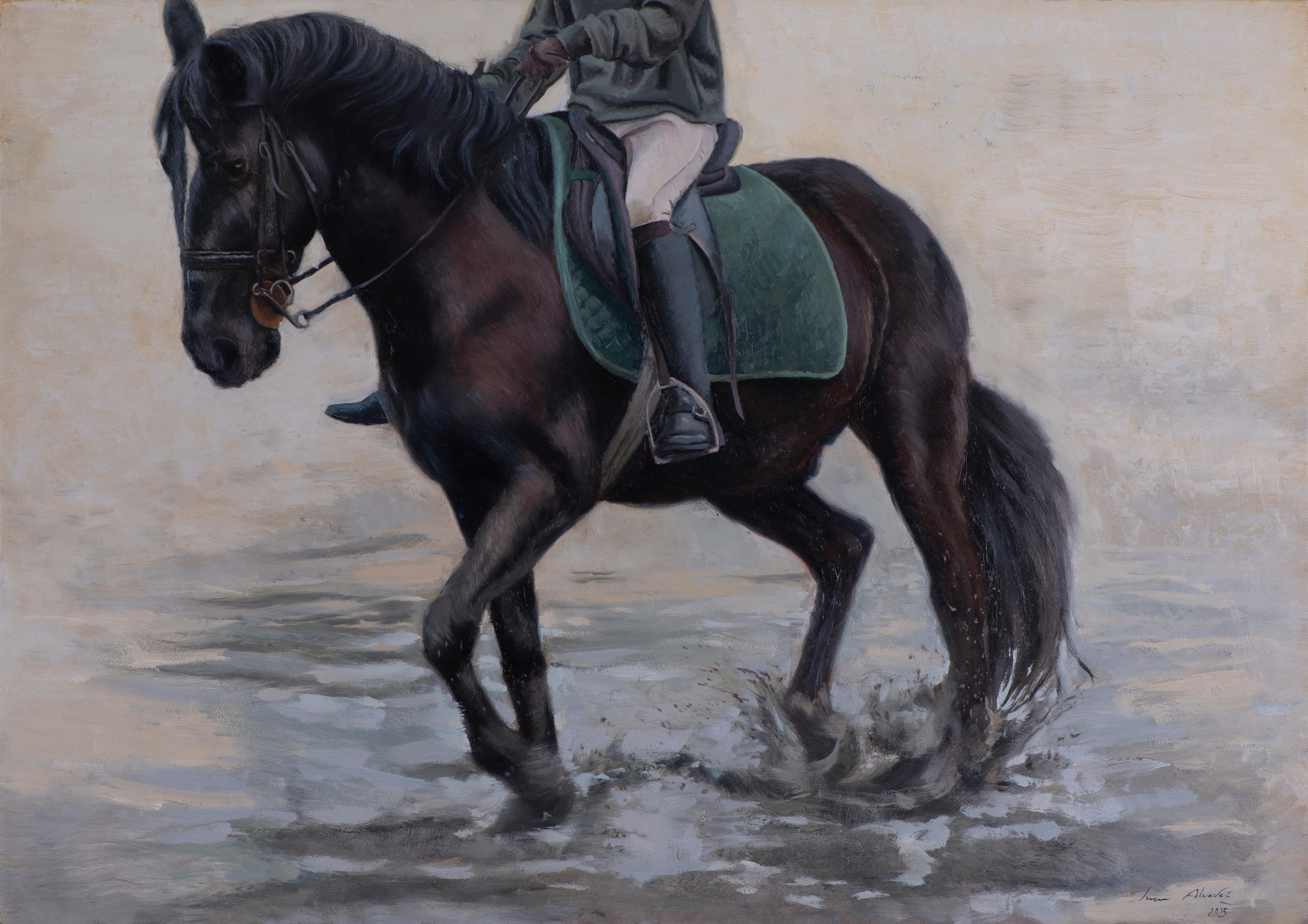 Cavaliere di equitazione