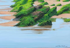Spiaggia con pietre verdi