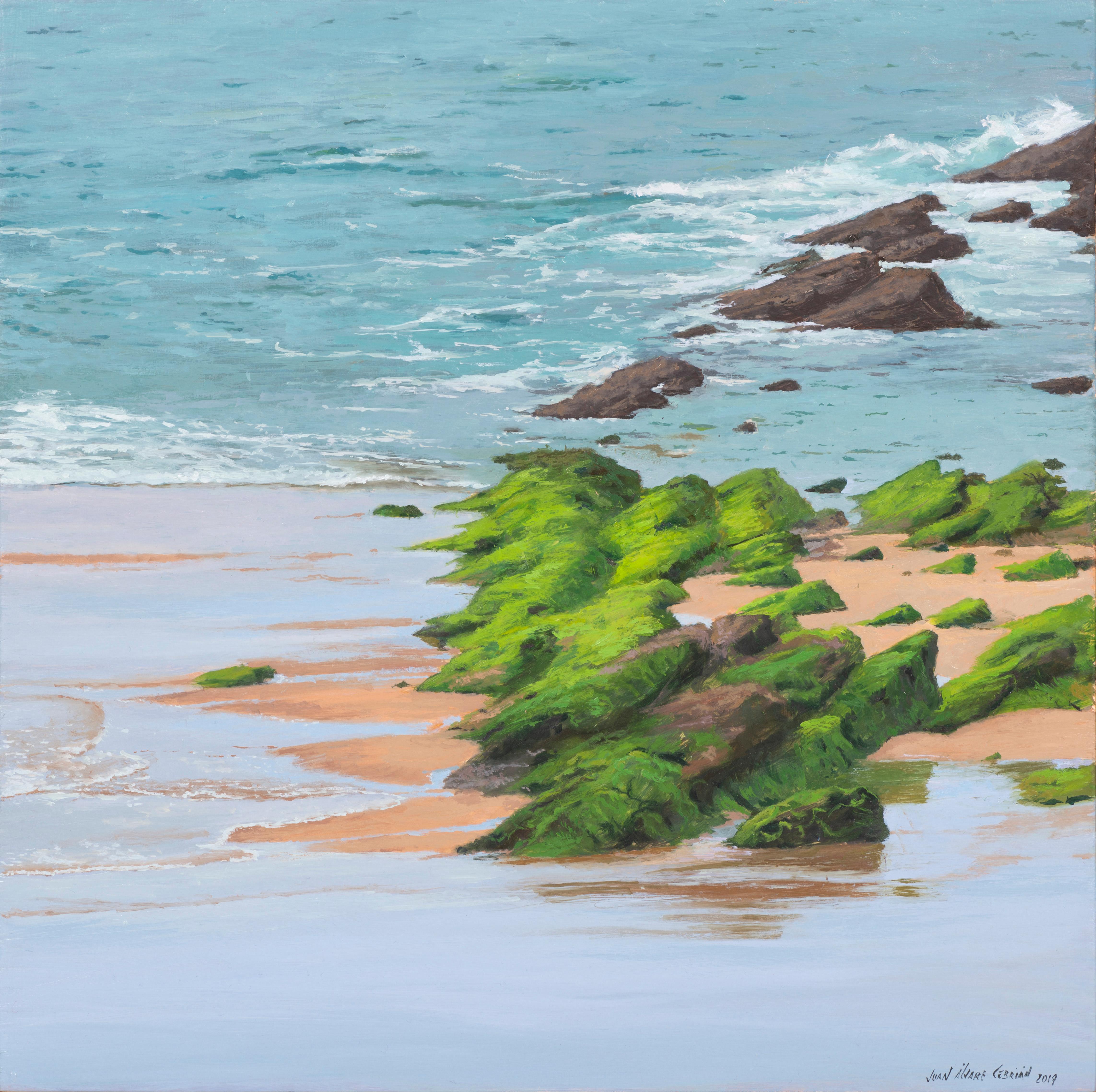 Juan Álvarez Cebrián Landscape Painting – Shore mit grünen Steinen