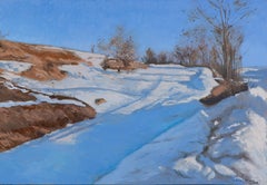 Campo di neve