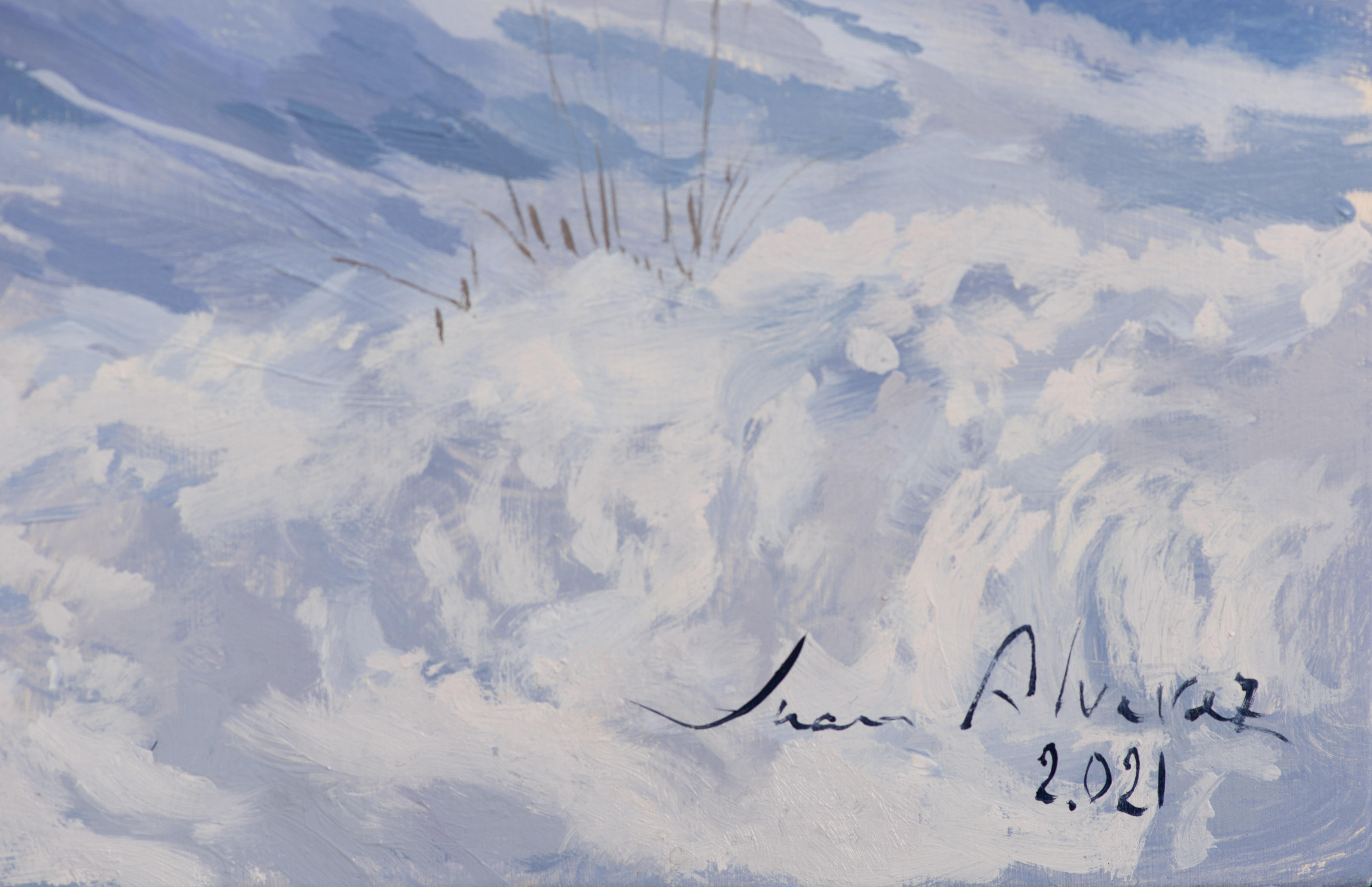 Snow in the Deposits I For Sale 2
