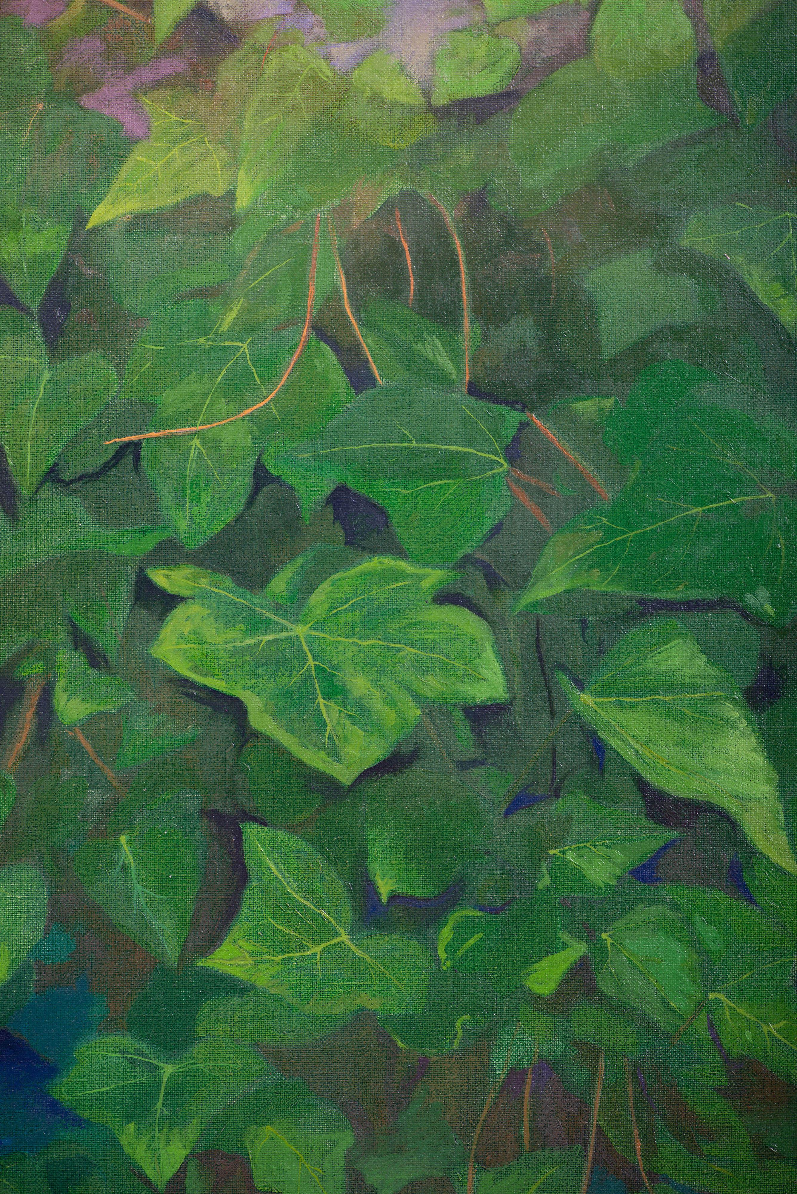The ivy For Sale 12