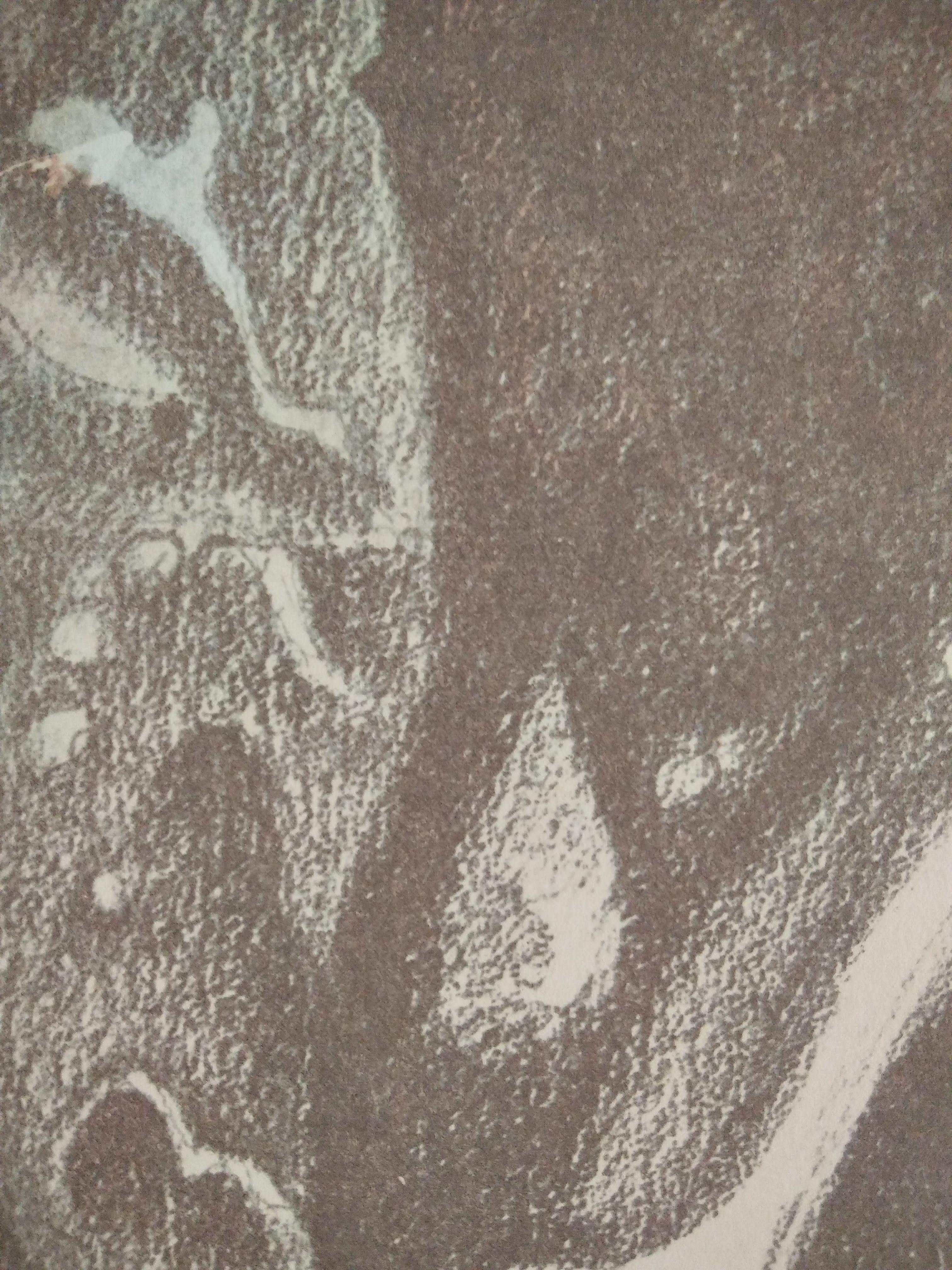 Untitled - Contemporary Print by Juan Navarro Ramón