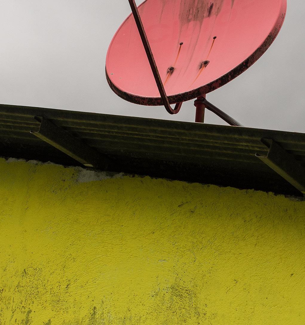 Parabolique rose. Photographie couleur en vente 2