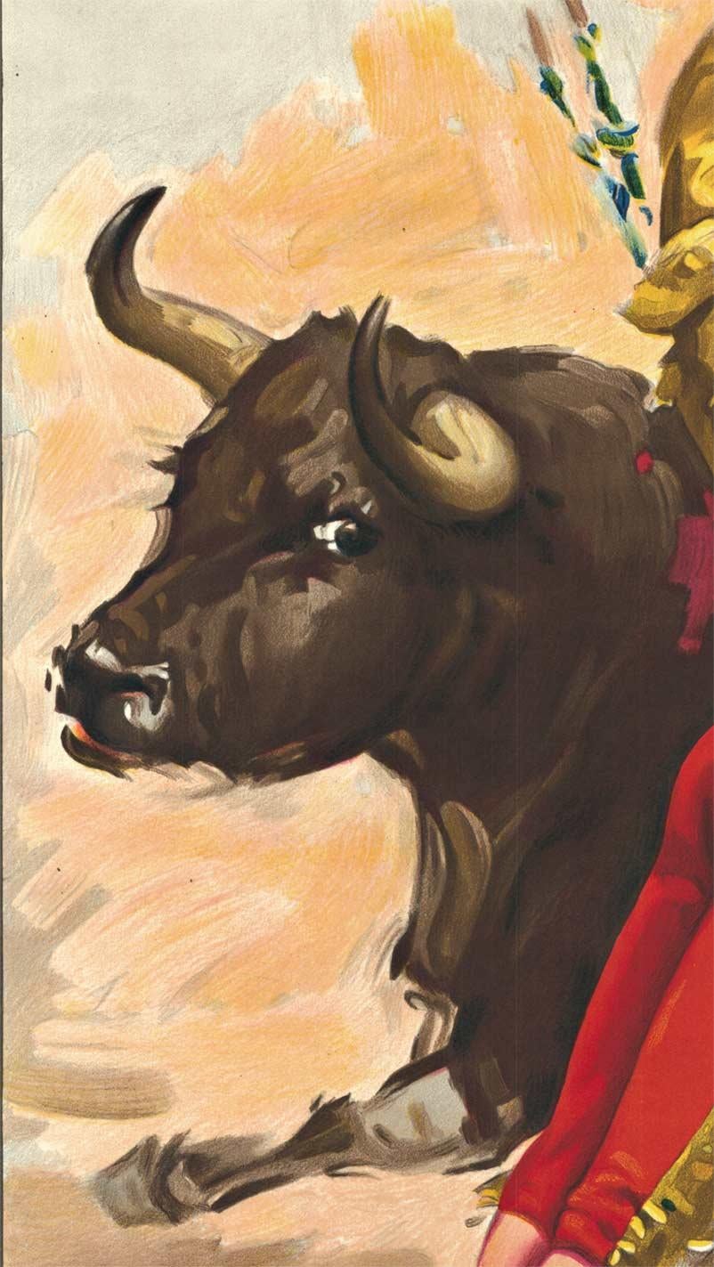 bullfighting cordoba