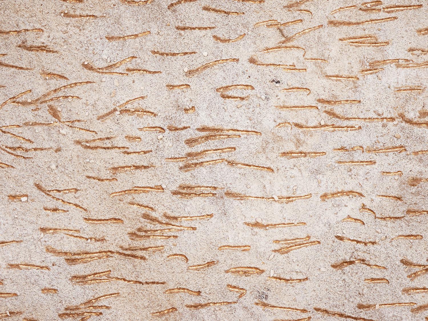 Modern Abstract Tan, Blue, & Orange Assemblage Construction Sculpture on Canvas 9