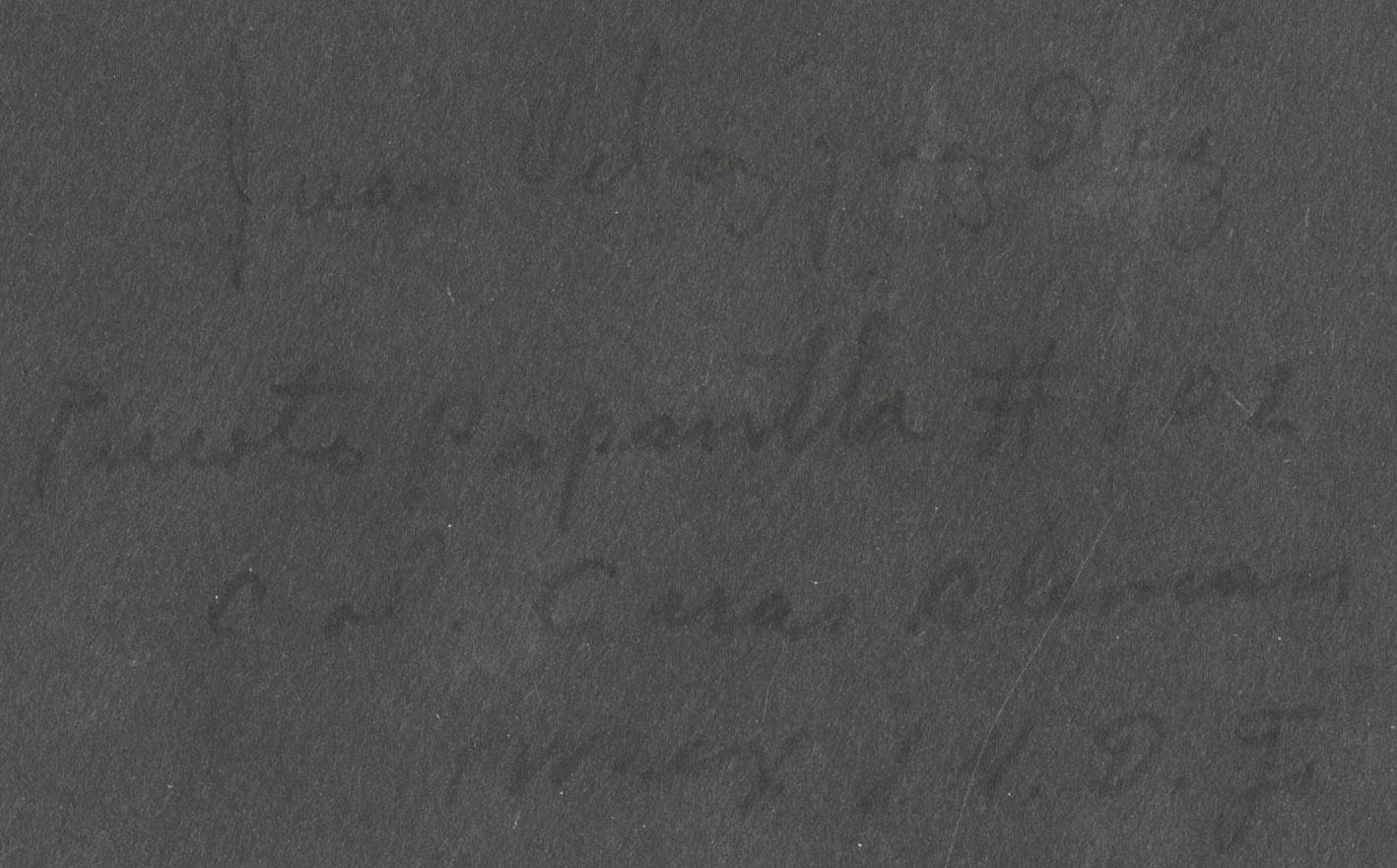 Title Unreadable “_______ _______ No. 102” For Sale 3