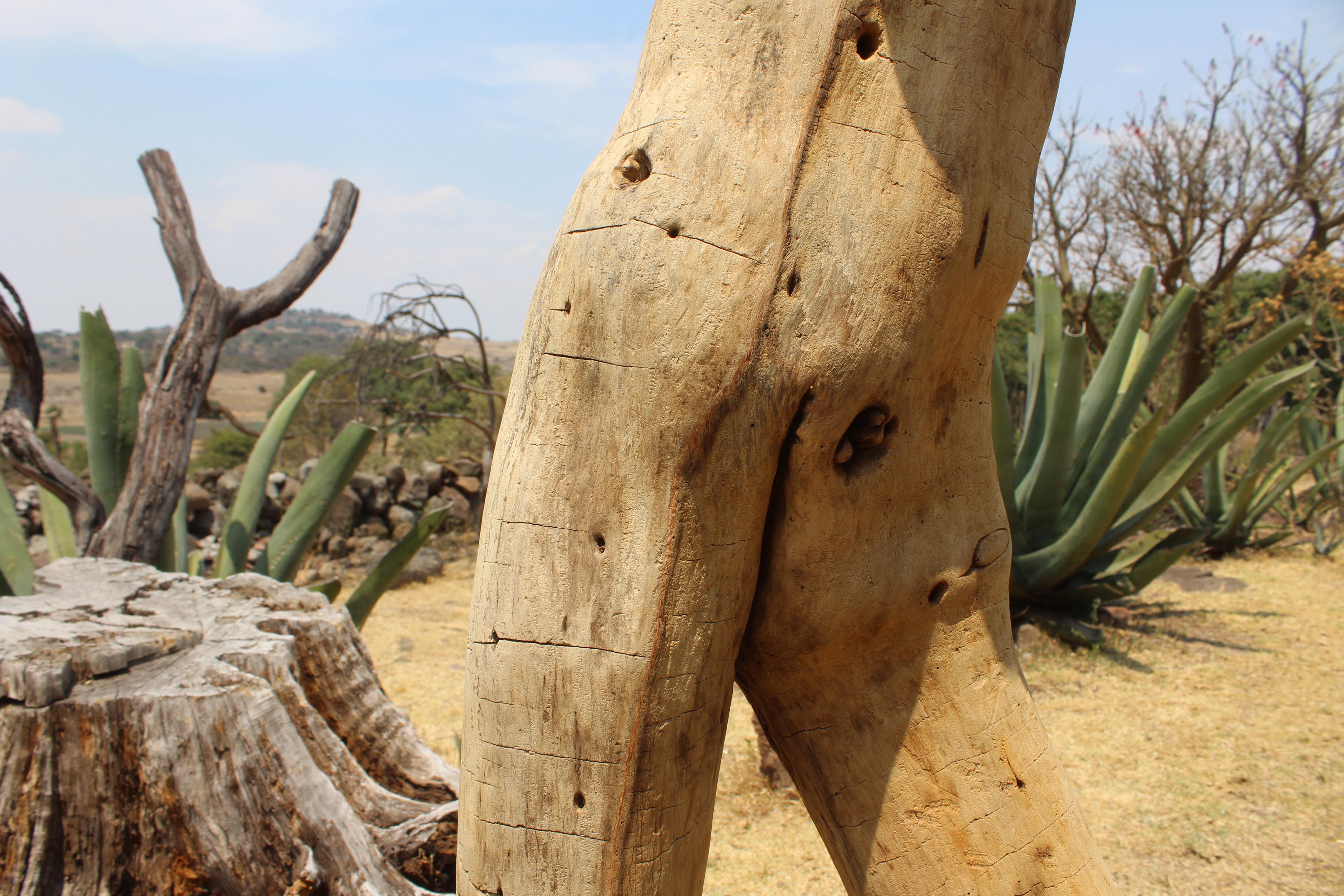 #Mandala #spirituelle Kunst #Einführung #Skulptur #Natur #Landschaft #Information #Außenbereich #Zeitgenössische Kunst #Stein #Farbe #Energie #Samen #Ambar #Holz 

JUANA MARTÍNEZ 
 (Tlalpujajua, Michoacán, 1953) Lebt und arbeitet in Tlalpujahua,