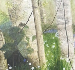 Birch Song, birch trees, wild bluebells, woodland landscape, serene