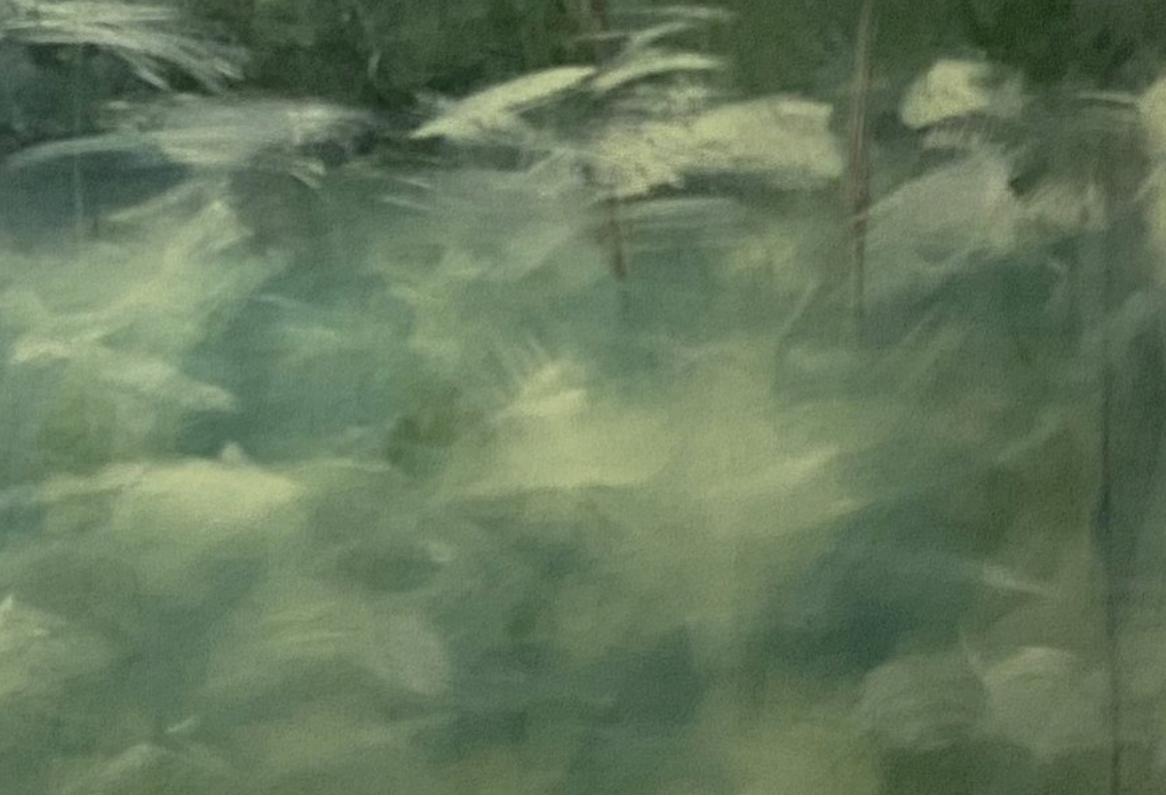 Springtime on the river, green, blue, contemporary landscape, 2021, Acrylic  1