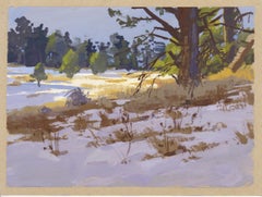 "003 - Plein Air-O'Fallon Park, CO" (2022) By Judd Mercer, Gouache Painting