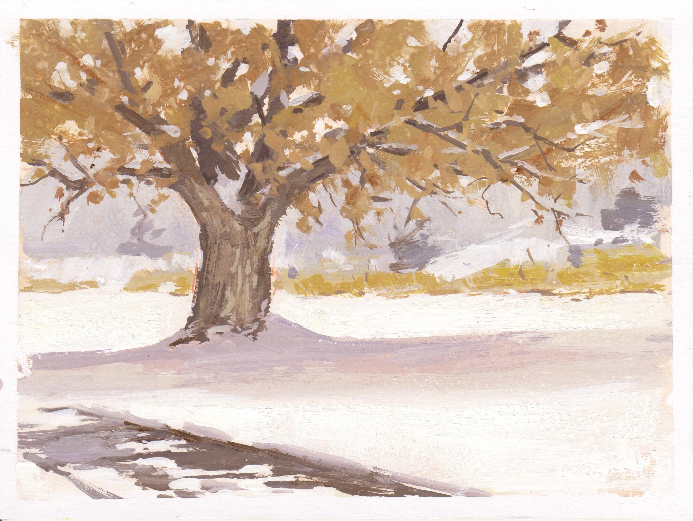 016 - Plein Air-Englewood, CO" de Judd Mercer (EEUU) es una pintura al gouache que representa un gran árbol en un paisaje nevado.

Biografía/declaración del artista
Judd Mercer es un paisajista contemporáneo y nativo de Colorado obsesionado con