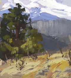 "020 - Plein Air-Elk Meadow, CO" (2022) By Judd Mercer, Gouache Painting