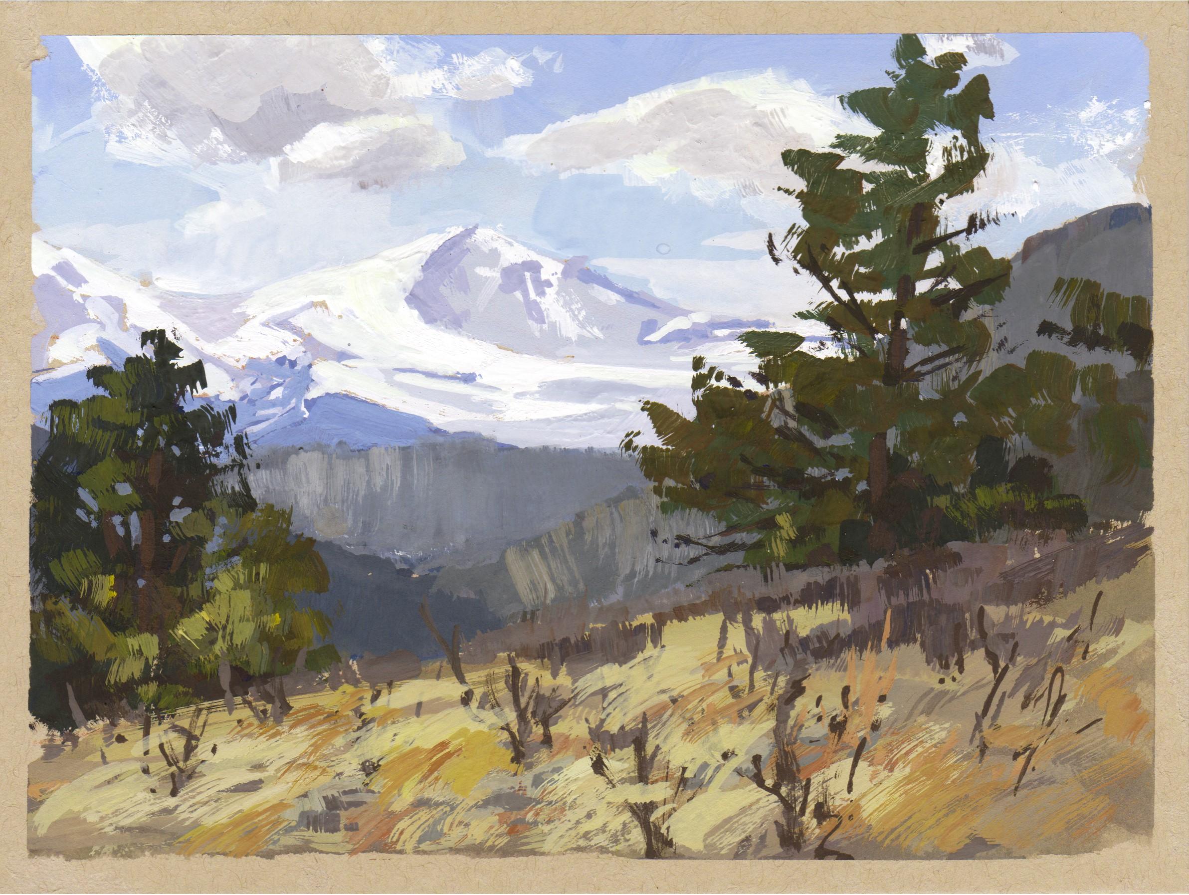 "020 - Plein Air-Elk Meadow, CO" di Judd Mercer (USA) è un dipinto a guazzo che raffigura un paesaggio tranquillo con una montagna innevata sullo sfondo.

Biografia/dichiarazione dell'artista
Judd Mercer è un pittore di paesaggi contemporanei e