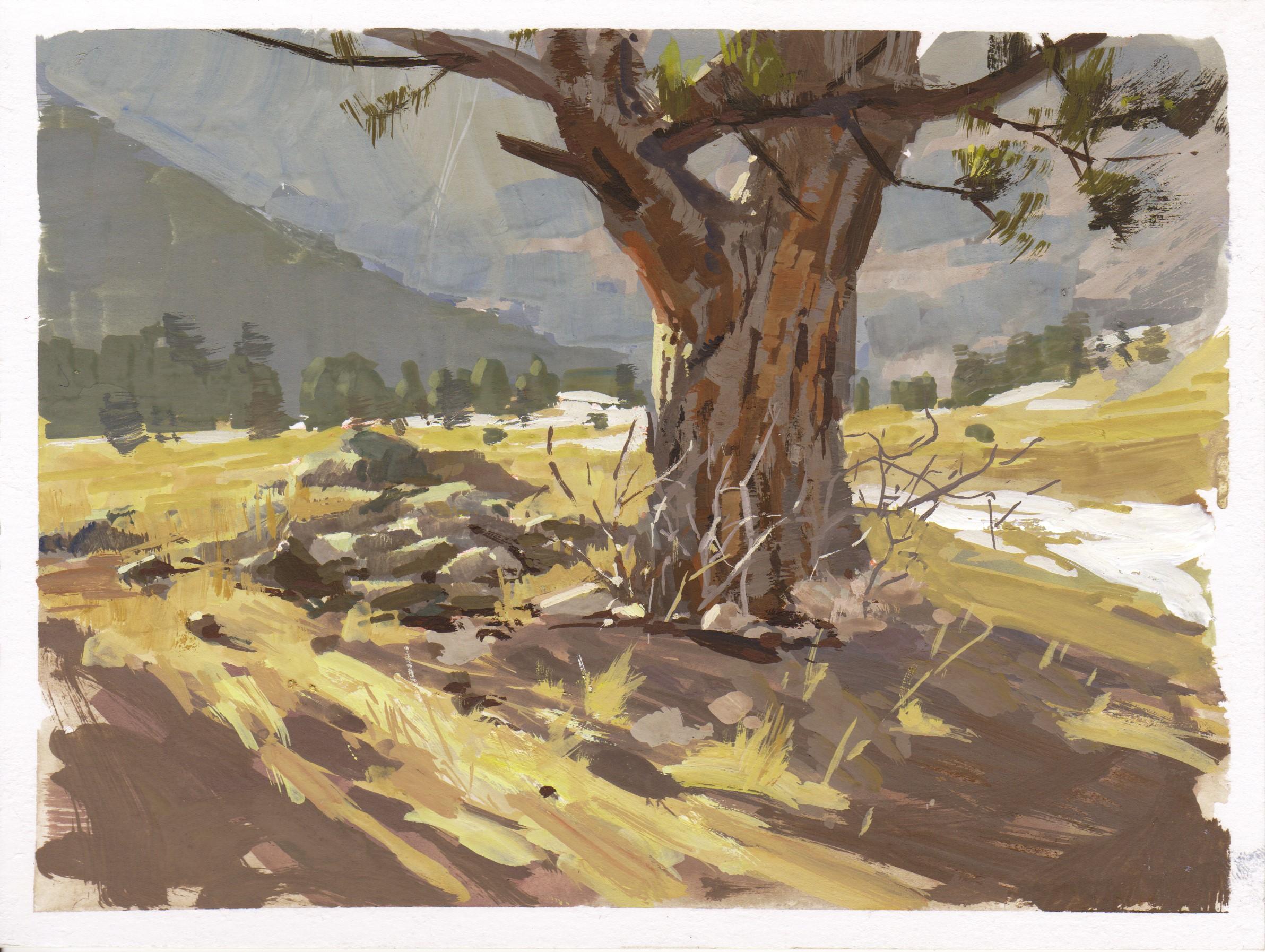 "021 - Plein Air-Elk Meadow, CO" di Judd Mercer (USA) è un dipinto a guazzo che raffigura un grande albero in una valle con la neve che si scioglie. 

Biografia/dichiarazione dell'artista
Judd Mercer è un pittore di paesaggi contemporanei e nativo