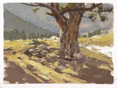 "021 - Plein Air-Elk Meadow, CO" (2022) By Judd Mercer, Gouache Painting