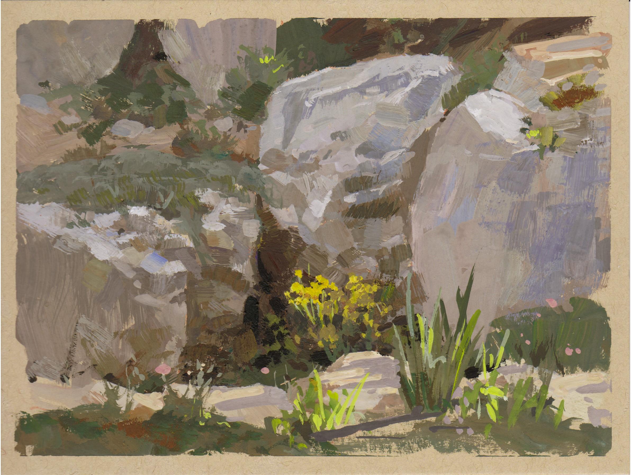 "034 - Plein Air-Denver Botanic Gardens" di Judd Mercer (USA) è un dipinto a guazzo che raffigura grandi rocce e fiori gialli.
 
Biografia/dichiarazione dell'artista
Judd Mercer è un pittore di paesaggi contemporanei e nativo del Colorado