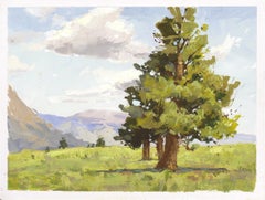 "035 - Plein Air-Flat Irons Vista, CO" (2022) di Judd Mercer, Pittura a guazzo