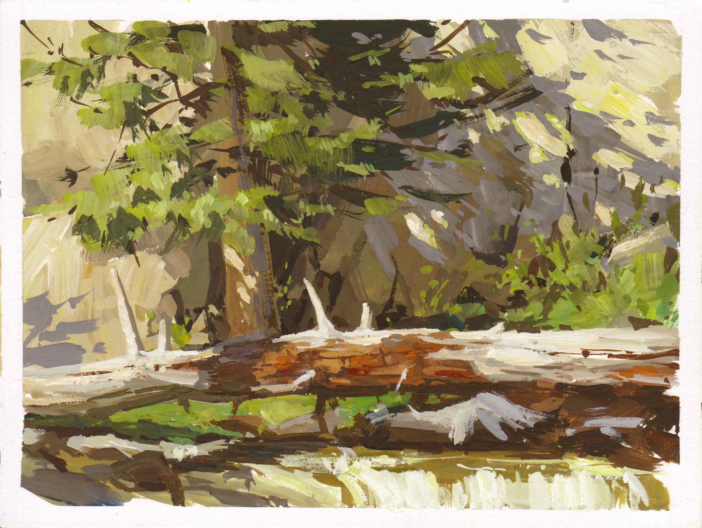 „038 - Plein Air-Boulder Falls, CO“ (2022) von Judd Mercer, Gouache-Gemälde
