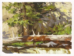 "038 - Plein Air-Boulder Falls, CO" (2022) By Judd Mercer, Gouache Painting