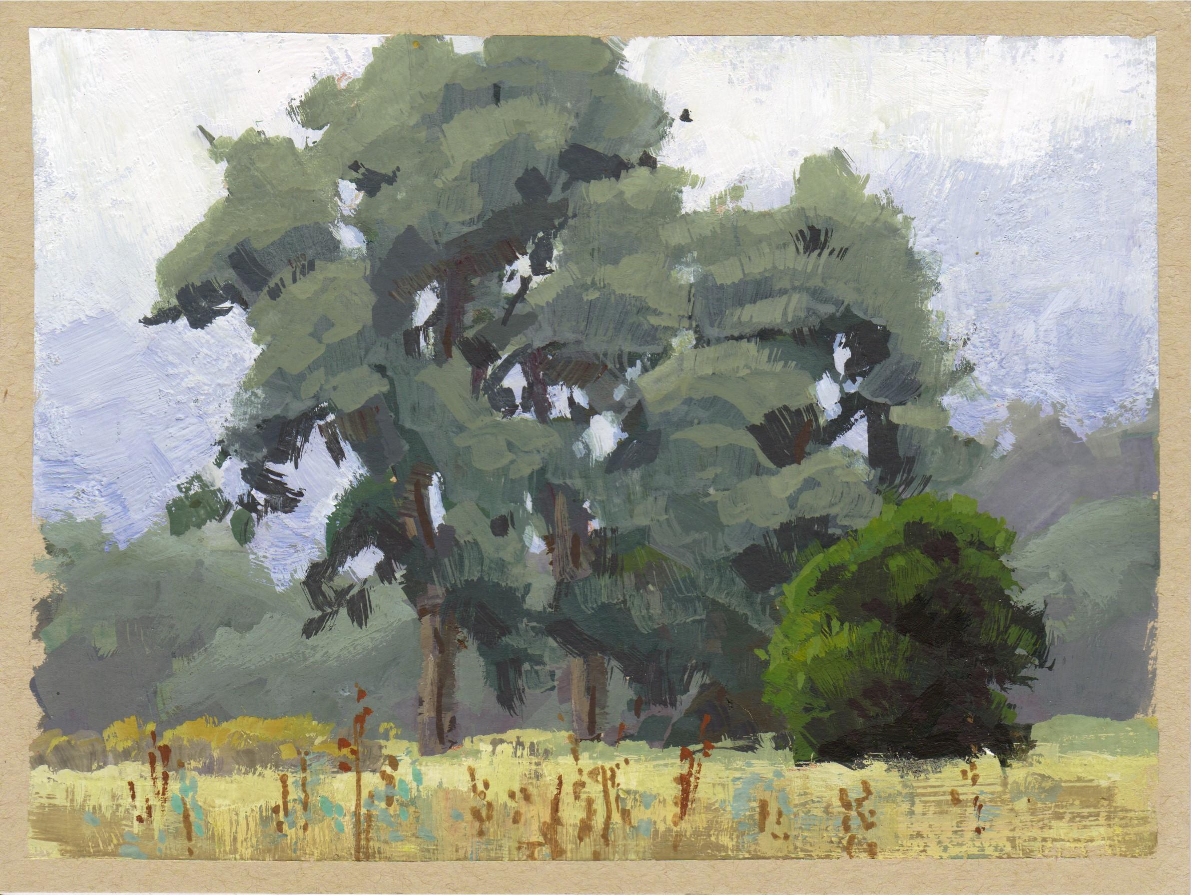 L'opera "046 - Plein Air-Star K Ranch, CO" di Judd Mercer (USA) è un dipinto a guazzo che raffigura una foresta.
 
Biografia/dichiarazione dell'artista
Judd Mercer è un pittore di paesaggi contemporanei e nativo del Colorado ossessionato dal