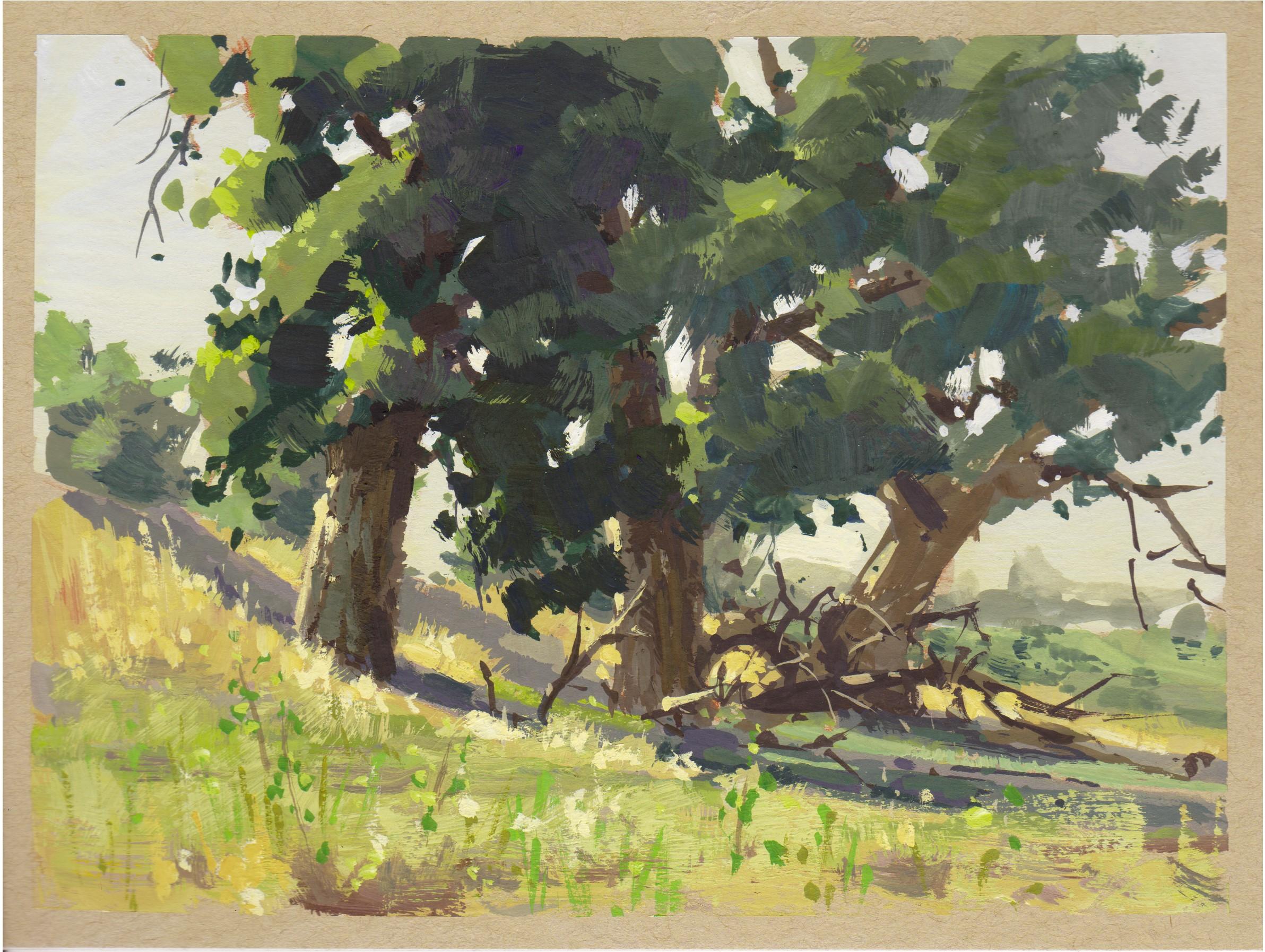 Judd Mercer (USA) "053 - Plein Air-Aurora, CO" è un dipinto a guazzo che raffigura alcuni alberi su una collina.
 
Biografia/dichiarazione dell'artista
Judd Mercer è un pittore di paesaggi contemporanei e nativo del Colorado ossessionato dal