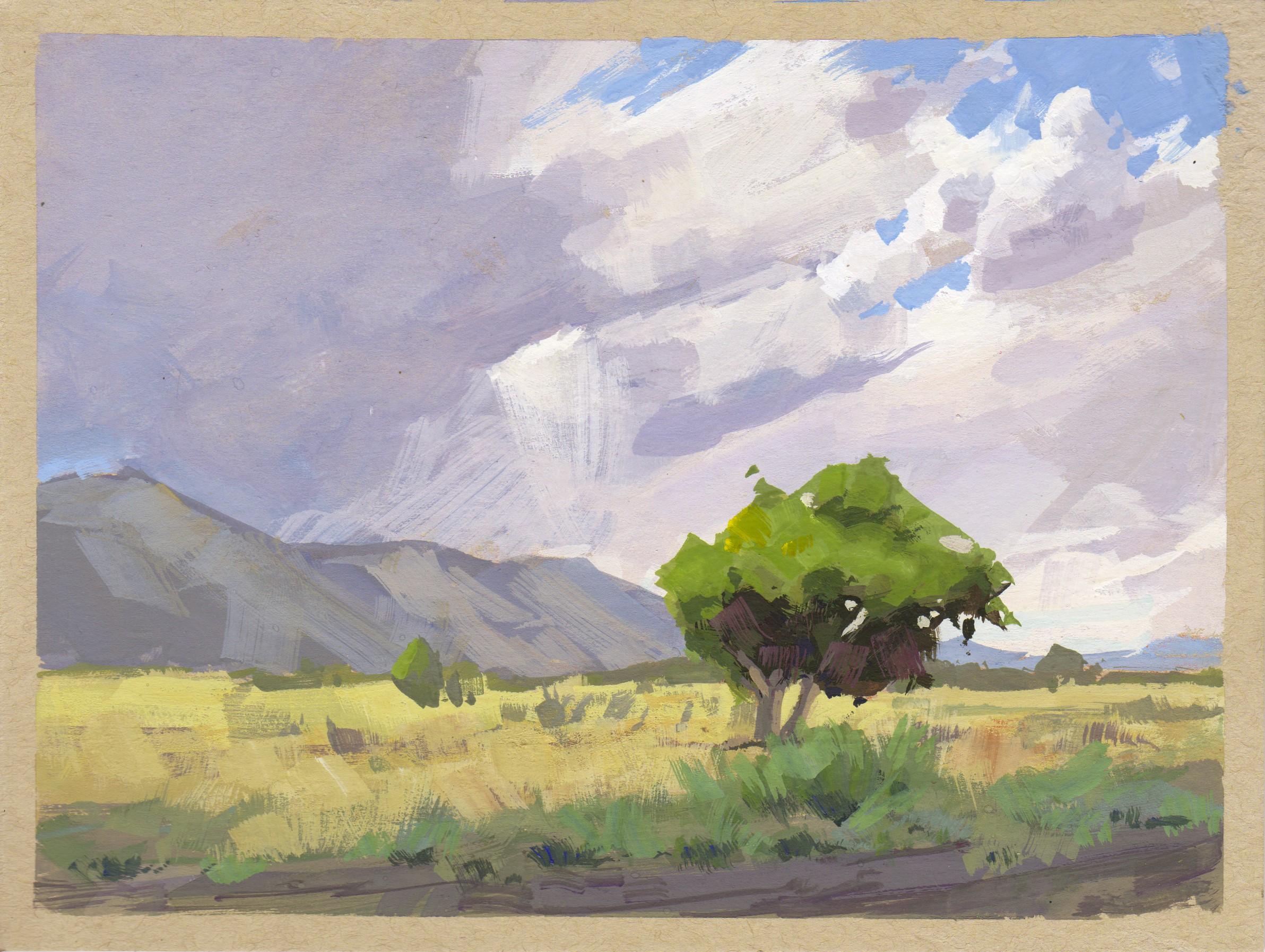 066 - Plein Air-Golden, CO" de Judd Mercer (EEUU) es una pintura al gouache que representa un paisaje.
 
Biografía/declaración del artista
Judd Mercer es un paisajista contemporáneo y nativo de Colorado obsesionado con contar historias a través de