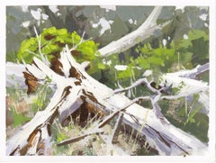 "073 - Plein Air-Bear Creek, CO" (2022) Di Judd Mercer, Pittura a guazzo
