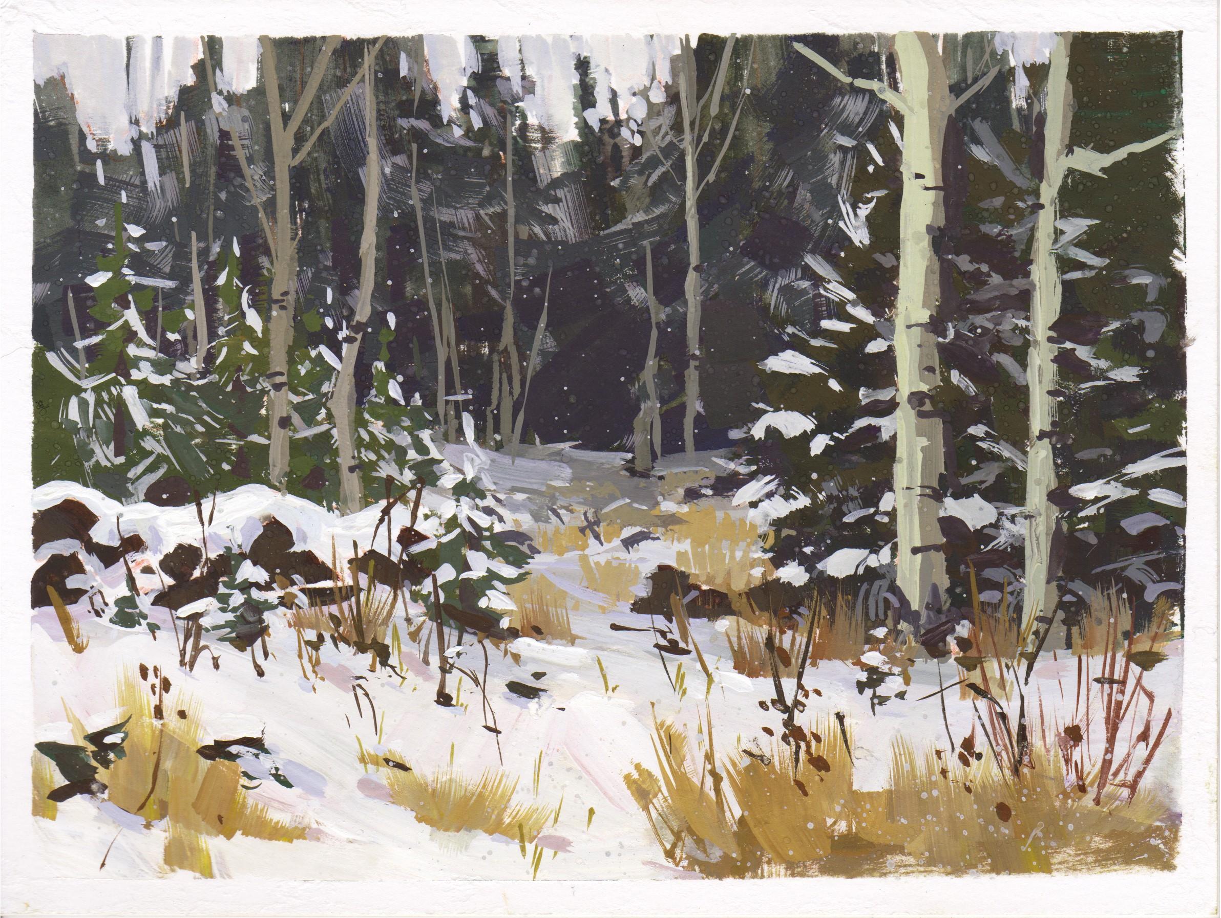 087 - Plein Air-Granby, CO" de Judd Mercer (EEUU) es una pintura al gouache que representa un bosque nevado de abedules.
 
Biografía/declaración del artista
Judd Mercer es un paisajista contemporáneo y nativo de Colorado obsesionado con contar