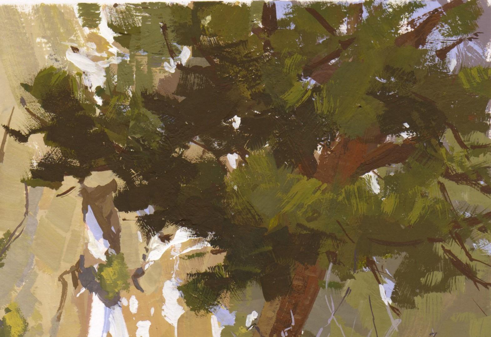 „094 - Plein Air-Boulder Falls, CO“ (2022) von Judd Mercer, Gouache-Gemälde im Angebot 4