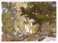 "094 - Plein Air-Boulder Falls, CO" (2022) By Judd Mercer, Gouache Painting