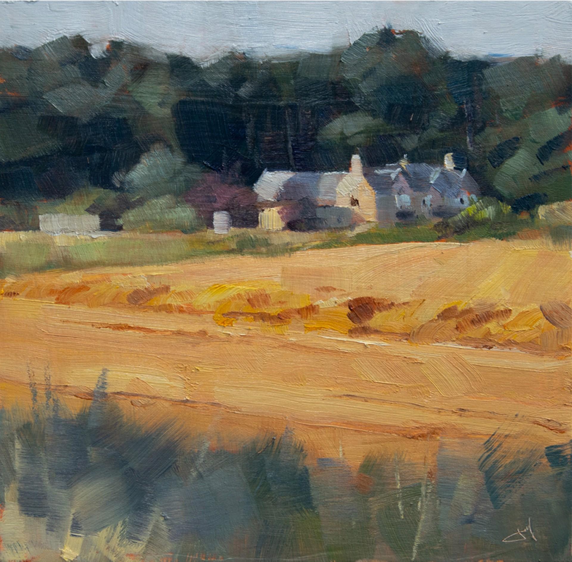 Judd Mercer Landscape Painting - Golden Harvest