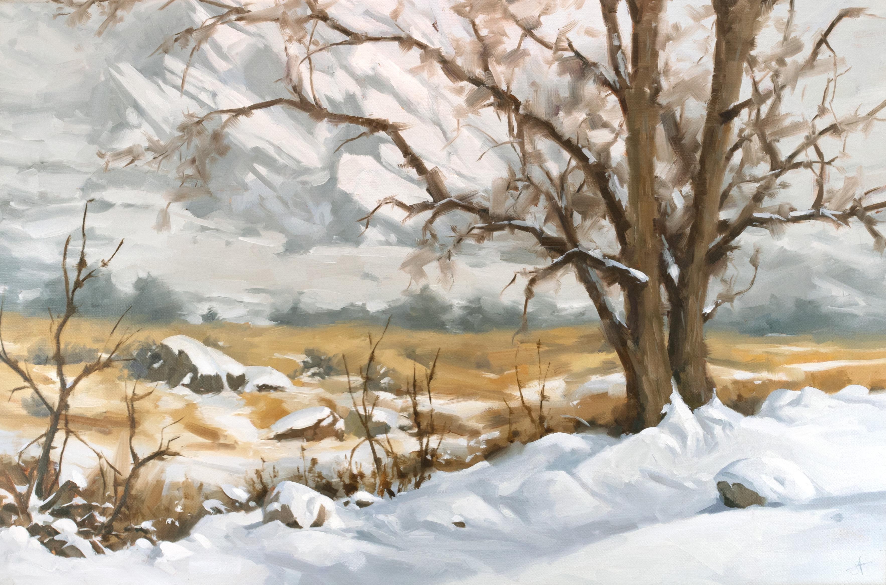 Judd Mercer Landscape Painting - "Winter Veil" Oil Painting