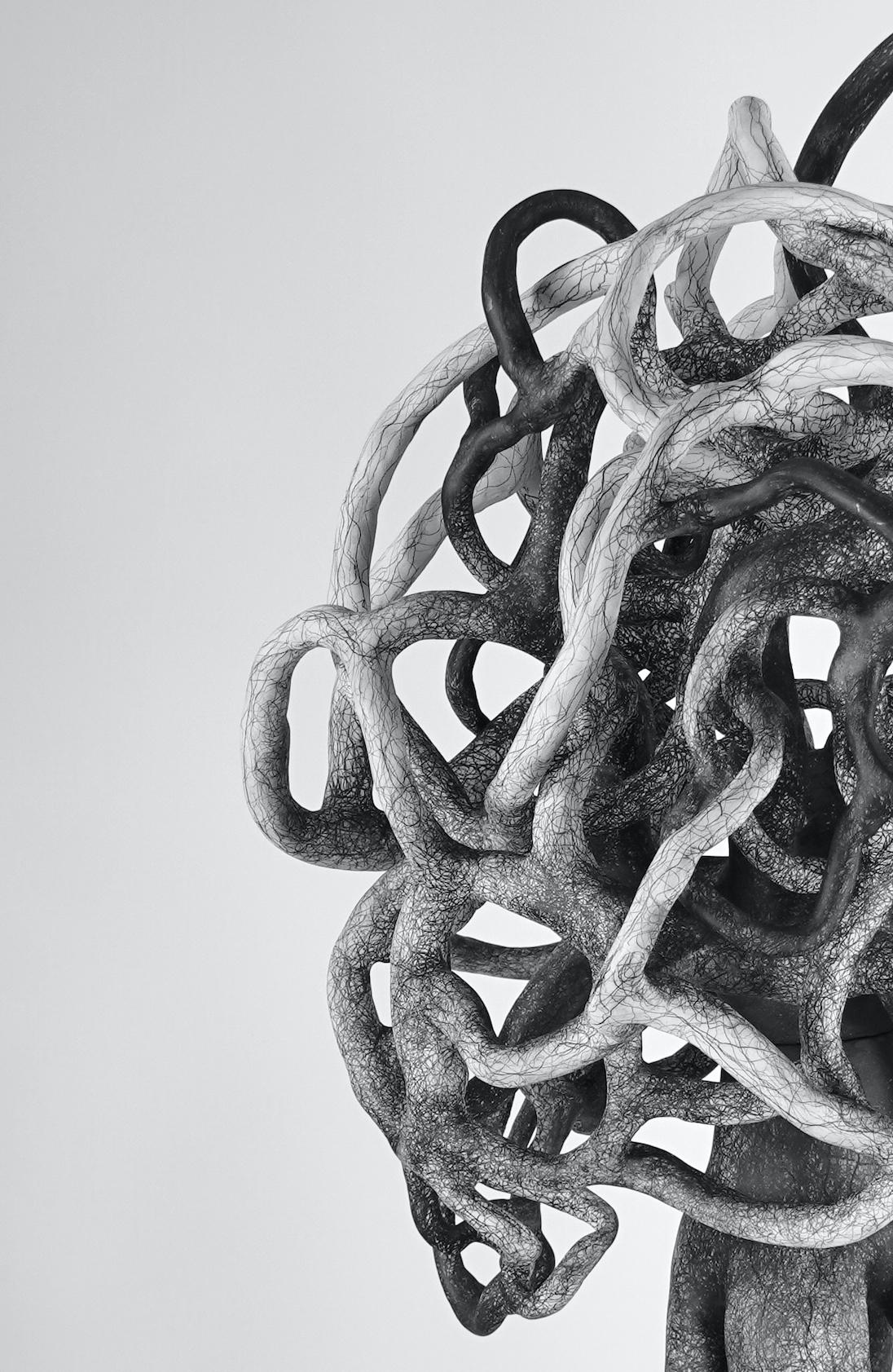 Judi Tavill (NJ) schafft biomorphe Abstraktionen, die Skulptur und Zeichnung miteinander verbinden und sich auf die komplizierte Erfahrung von Verbindung und Verflechtung beziehen.
Nach ihrem Bachelor of Fine Arts (BFA) an der Washington University